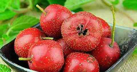 男人养胃的养生方法 男人养胃的养生方法