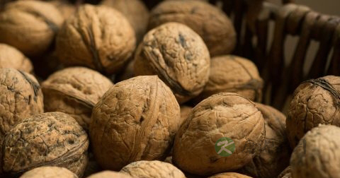 男人会有更年期吗 男人会有更年期吗