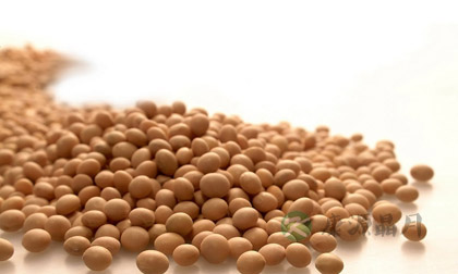 推荐女性滋阴补肾的食物 推荐女性滋阴补肾的食物