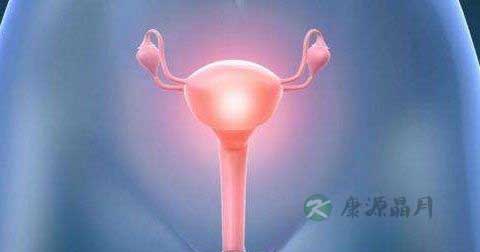 什么叫子宫没有营养