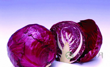 10种减肥食物:甘蓝最燃脂 10种减肥食物:甘蓝最燃脂