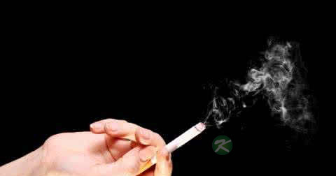 备孕期间能献血吗