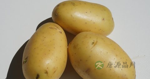 瘦小腿的方法