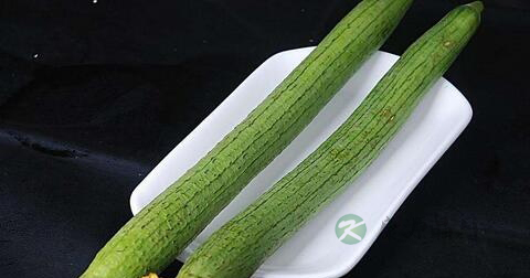 宫颈腺囊肿吃什么药