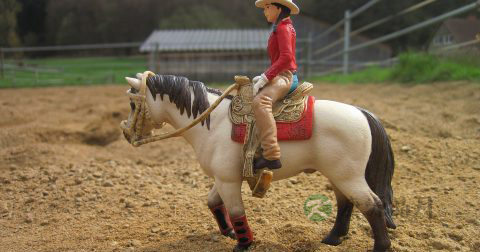妇科医生给你说的悄悄话 妇科医生给你说的悄悄话