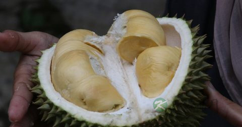 妇科囊肿多久能消
