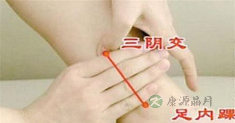 卵巢保养食物