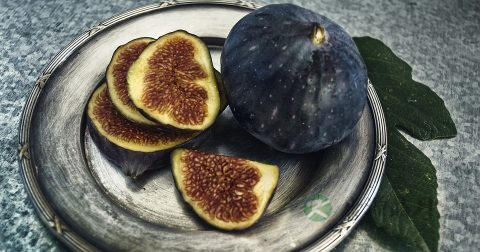 来月经吃什么水果好