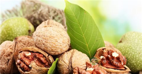 15款健康食物让女人不掉头发