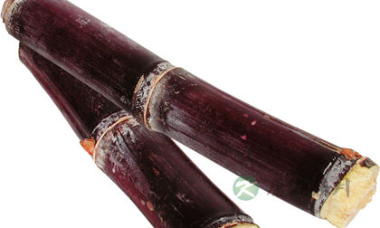 推荐女性滋阴补肾的食物 推荐女性滋阴补肾的食物