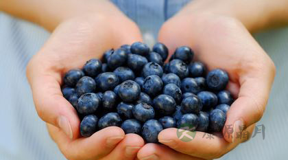 女人不要健忘 15种食物增强记忆力