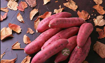 红薯：刘嘉玲狂甩28斤的秘籍