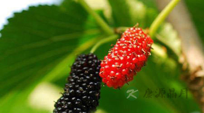 五个饮食方能帮女人养血祛斑