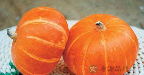 来月经可以吃黄帝菜吗