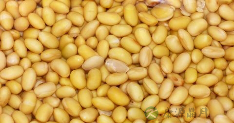 乳腺囊肿症状表现