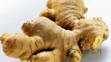 六种素食 让你吃出健康美丽 六种素食 让你吃出健康美丽