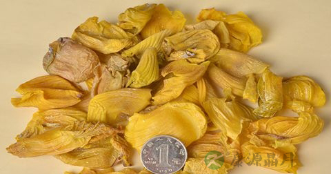 治胃病的中药有哪些
