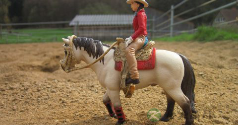 女人养好精气神秘诀