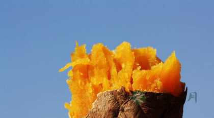 女性养生：18种食物是乳房的最爱