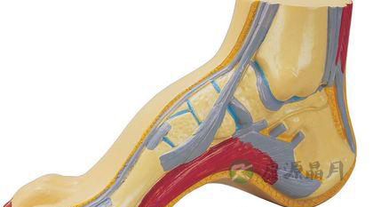 女人有脚气怎么办