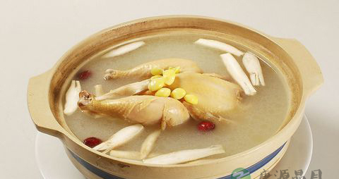 孕妇鸡汤的做法大全