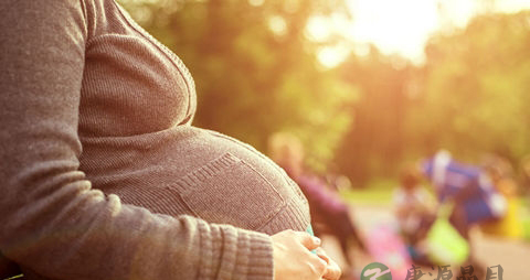 孕早期检查项目及时间表