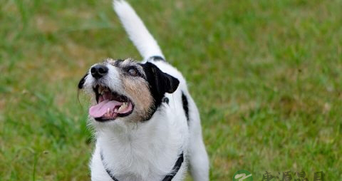 孕早期肚子隐隐作痛放屁怎么办