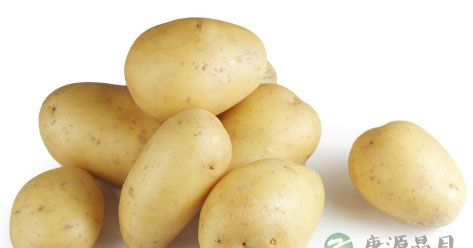 孕妇必吃的六大“最佳”食物