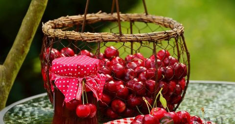 孕早期能吃鸽子吗 孕早期能吃鸽子吗