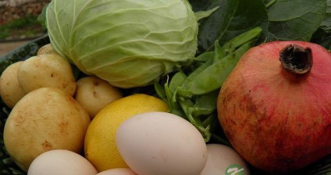 孕激素低吃什么好