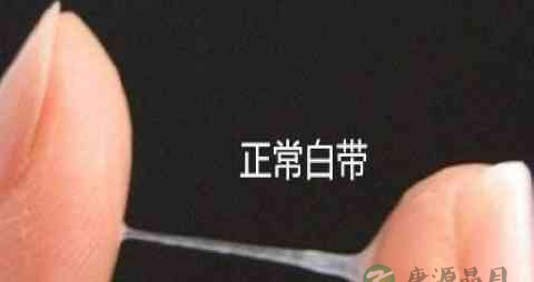 怀孕什么时候第一次做b超