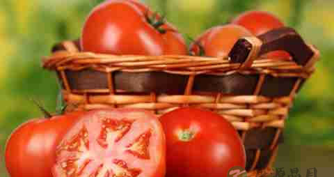 夏天适合孕妇吃的菜