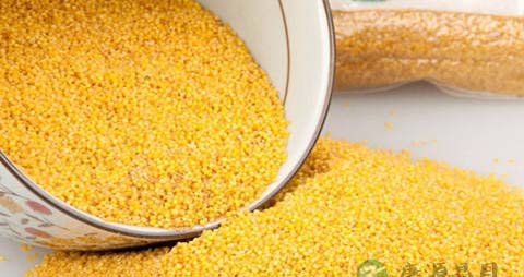 怀孕2个月营养怎么搭配