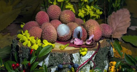 孕早期能吃荔枝吗