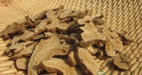 白术孕妇能吃吗