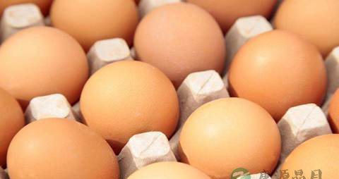 刚生完孩子喝什么汤好