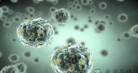 妊娠合并肺结核的病因