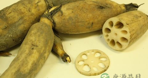 怀孕后吃什么好