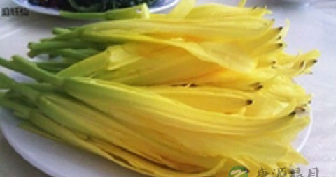 孕妇可以吃黄花菜吗