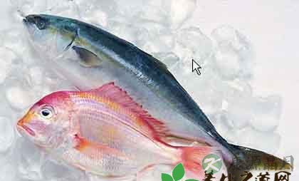 孕妇的饮食对胎儿影响大