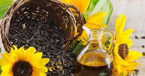 孕妇吃葵花籽好吗