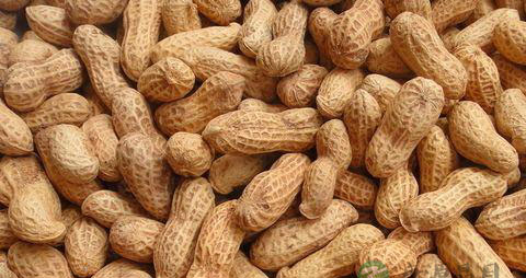 孕妇吃什么缓解胃酸好