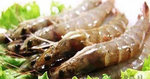 孕妇可以吃虾子吗