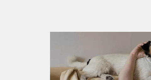 怀孕后白带发黄是怎么回事