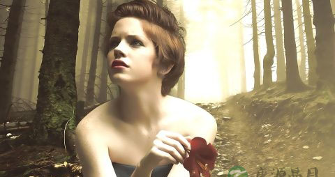 环丙孕酮片说明书