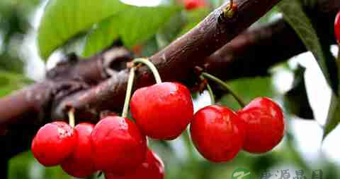 孕妇夏天怎么解暑