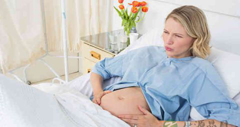 怀孕晚期需要哪些营养_怀孕晚期需要的营养