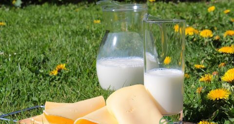 孕妇喝羊奶粉好吗