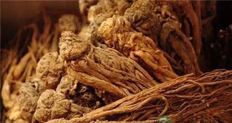 哺乳期能吃当归吗