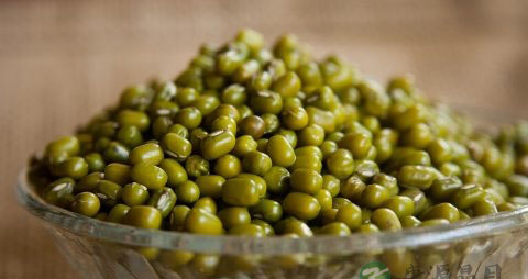 孕妇喝绿豆汤好吗